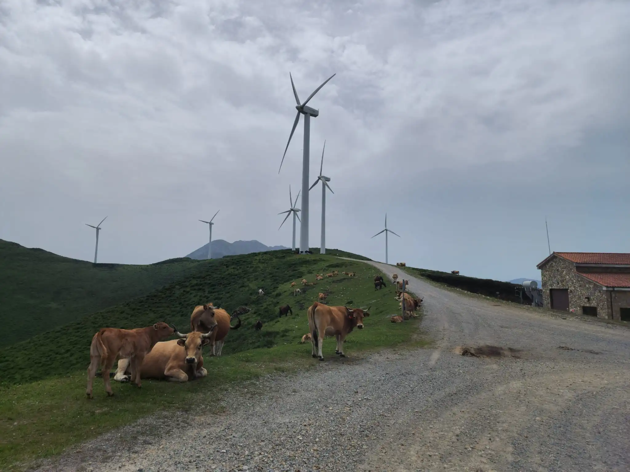 WhatsApp Image 2022-06-16 at 12.44.53 PM