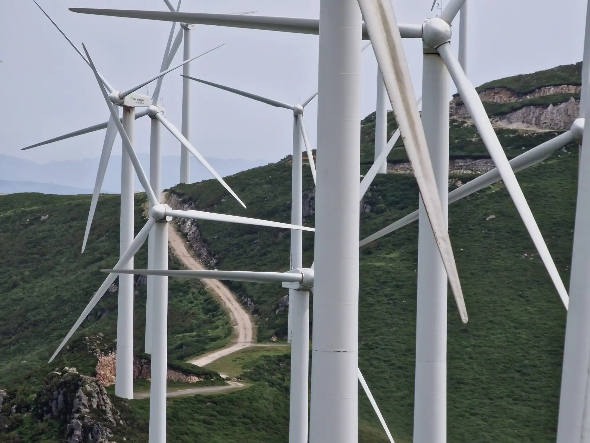 WhatsApp Image 2022-06-16 at 12.44.55 PM