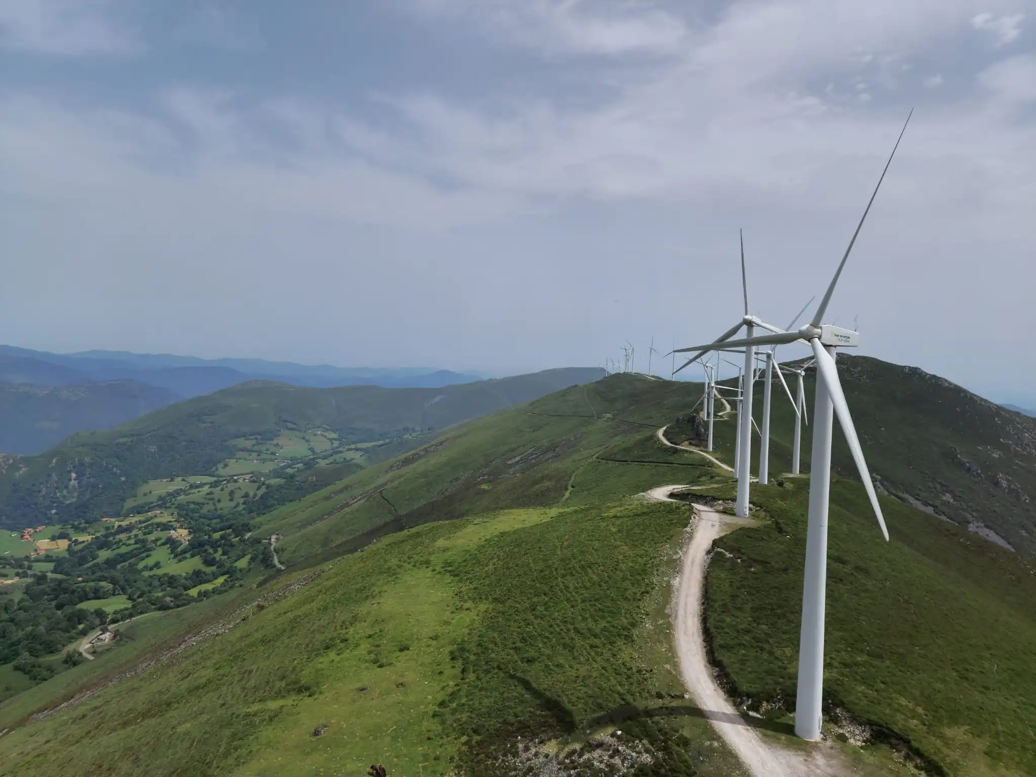 WhatsApp Image 2022-06-16 at 12.45.00 PM